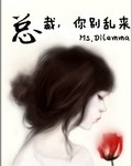 总裁你别乱来