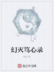 幻灭笃心录