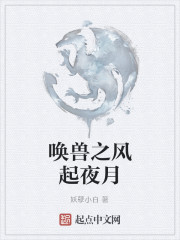 唤兽之风起夜月