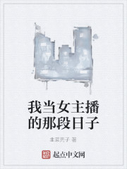 我当女主播的那段日子