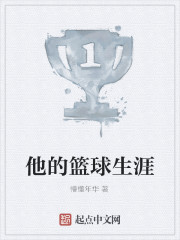 他的篮球生涯