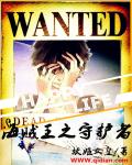 海贼王之守护者
