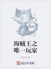 海贼王之唯一玩家