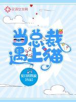 当总裁遇上猫