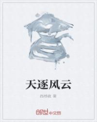 天逐风云