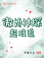 傲娇神探超难追