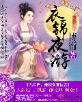 衣锦夜游