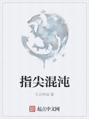 指尖混沌