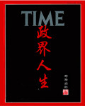 政界人生