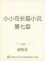 小小鸟长篇小说第七章